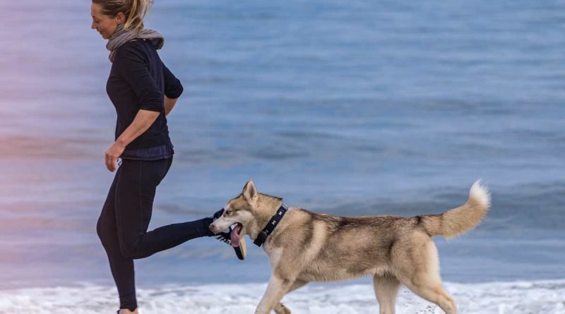 tutti i benefici di correre con il proprio cane