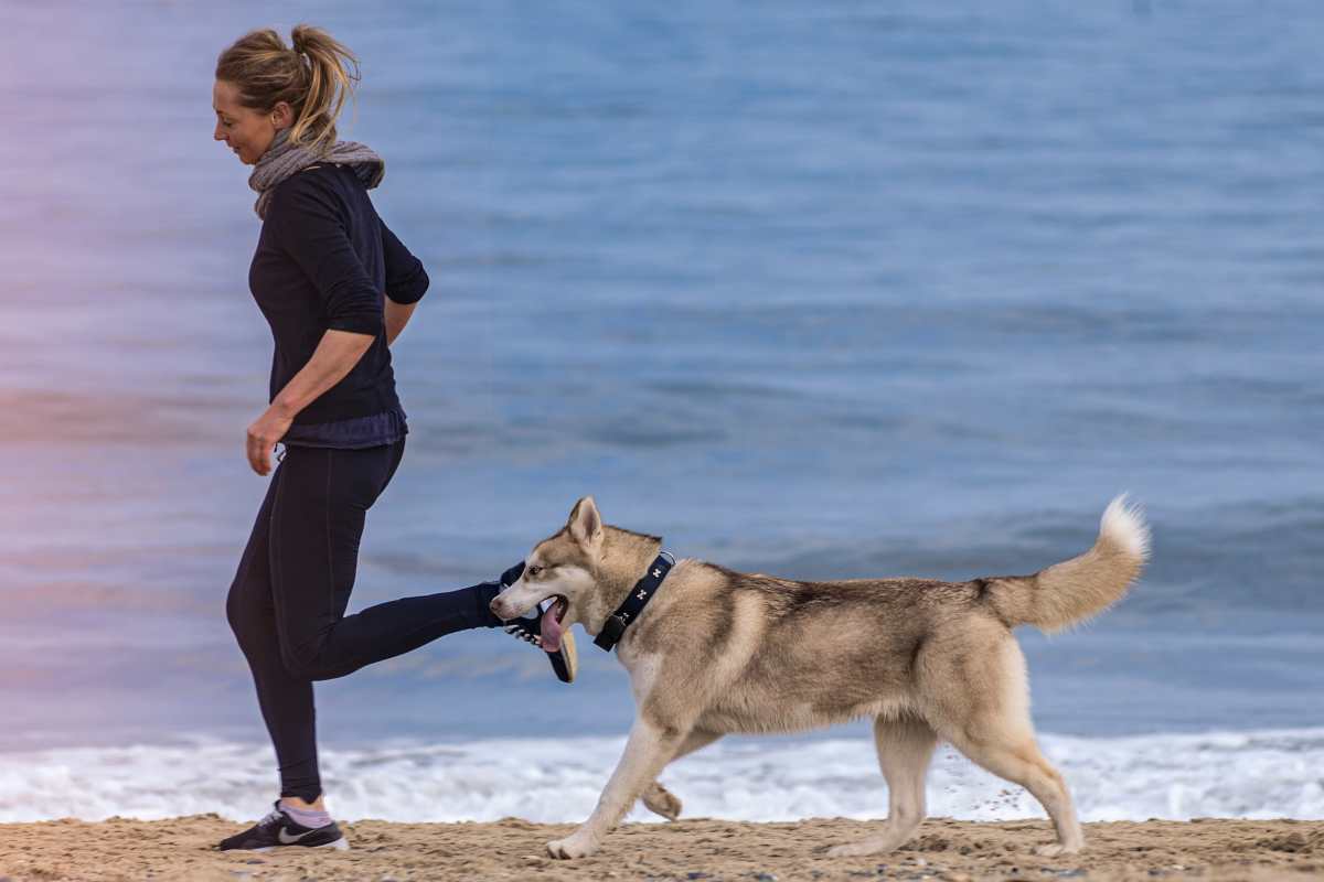 Correre, farlo con il proprio cane aumenta i benefici: come conquistare il benessere per entrambi