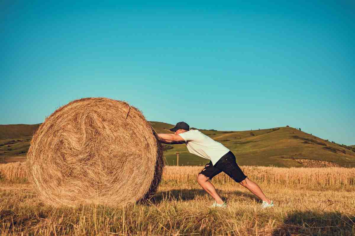 Uomo che spinge una balla di fieno 