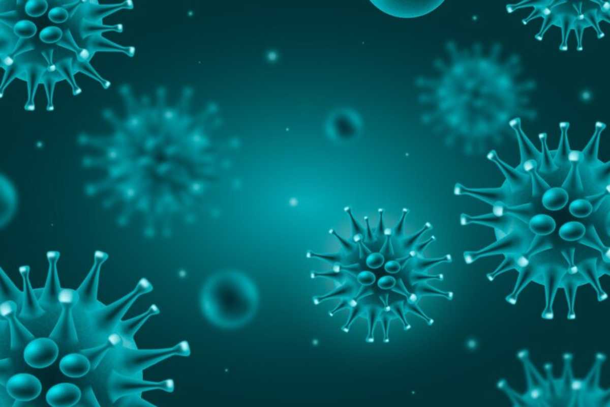 nuovo virus Cina