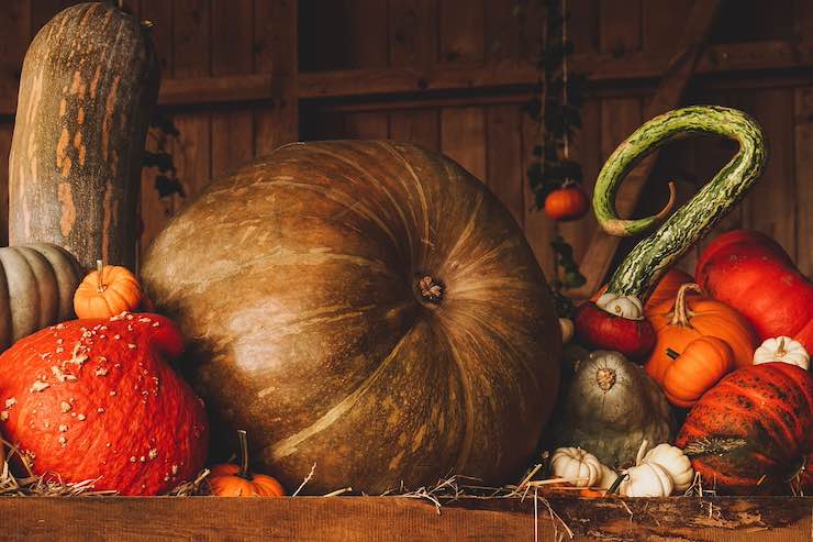 cibi di ottobre per gli sportivi