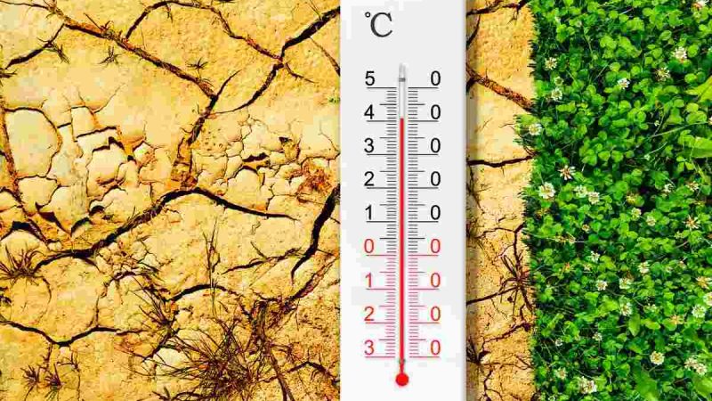 Riscaldamento globale e l’aumento dei rischi per la salute. Leggi qui!