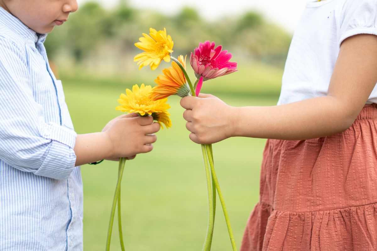 La gentilezza, un valore trascurato