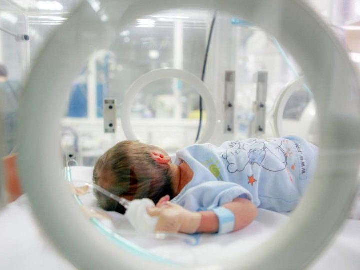 Nuova guida per l’assistenza neonatale: Massimo Agosti nuovo presidente della SIN