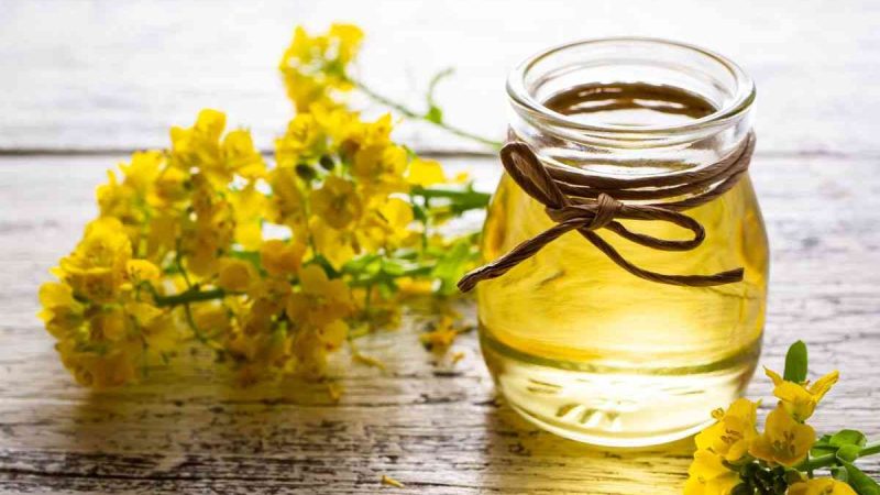 Olio di canola: scopri le incredibili proprietà di questo superfood