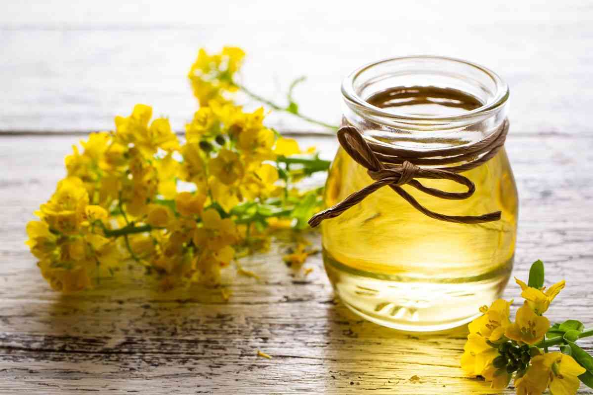 Olio di canola: scopri le incredibili proprietà di questo superfood