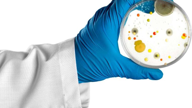 Superbatteri MRSA: scopri come resistono agli antibiotici!