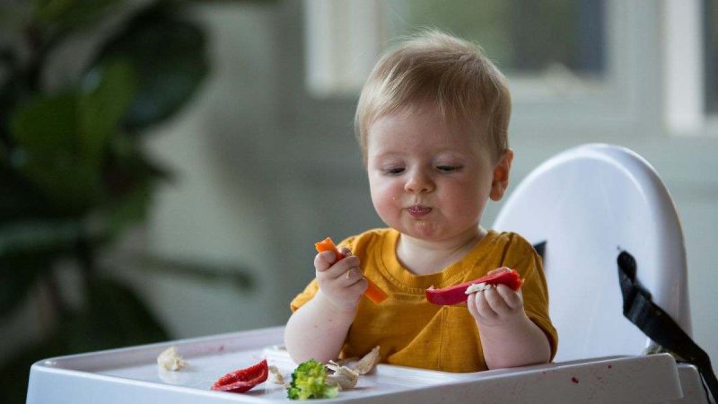 Baby food: rendiamo obbligatoria l’etichettatura. Leggi qui!