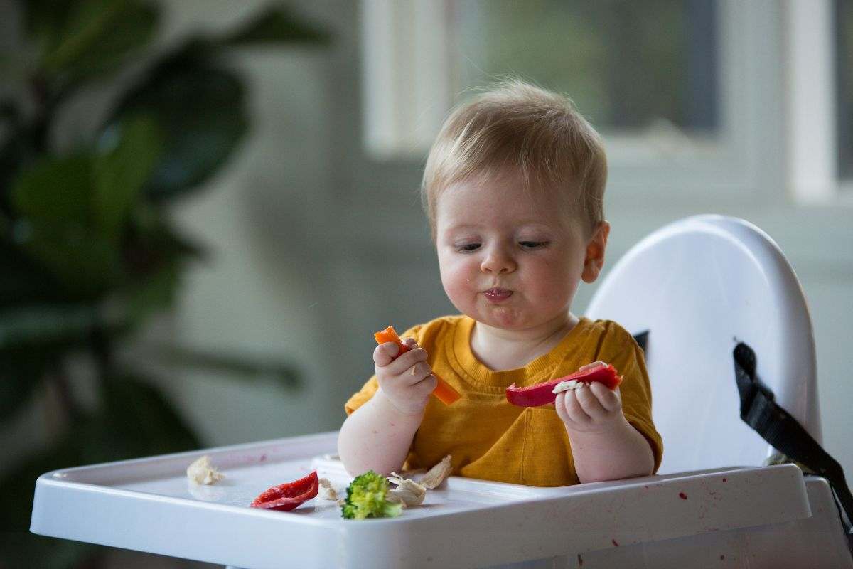 Baby food: rendiamo obbligatoria l’etichettatura. Leggi qui!