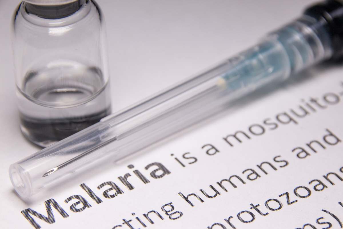 allarme malaria in italia